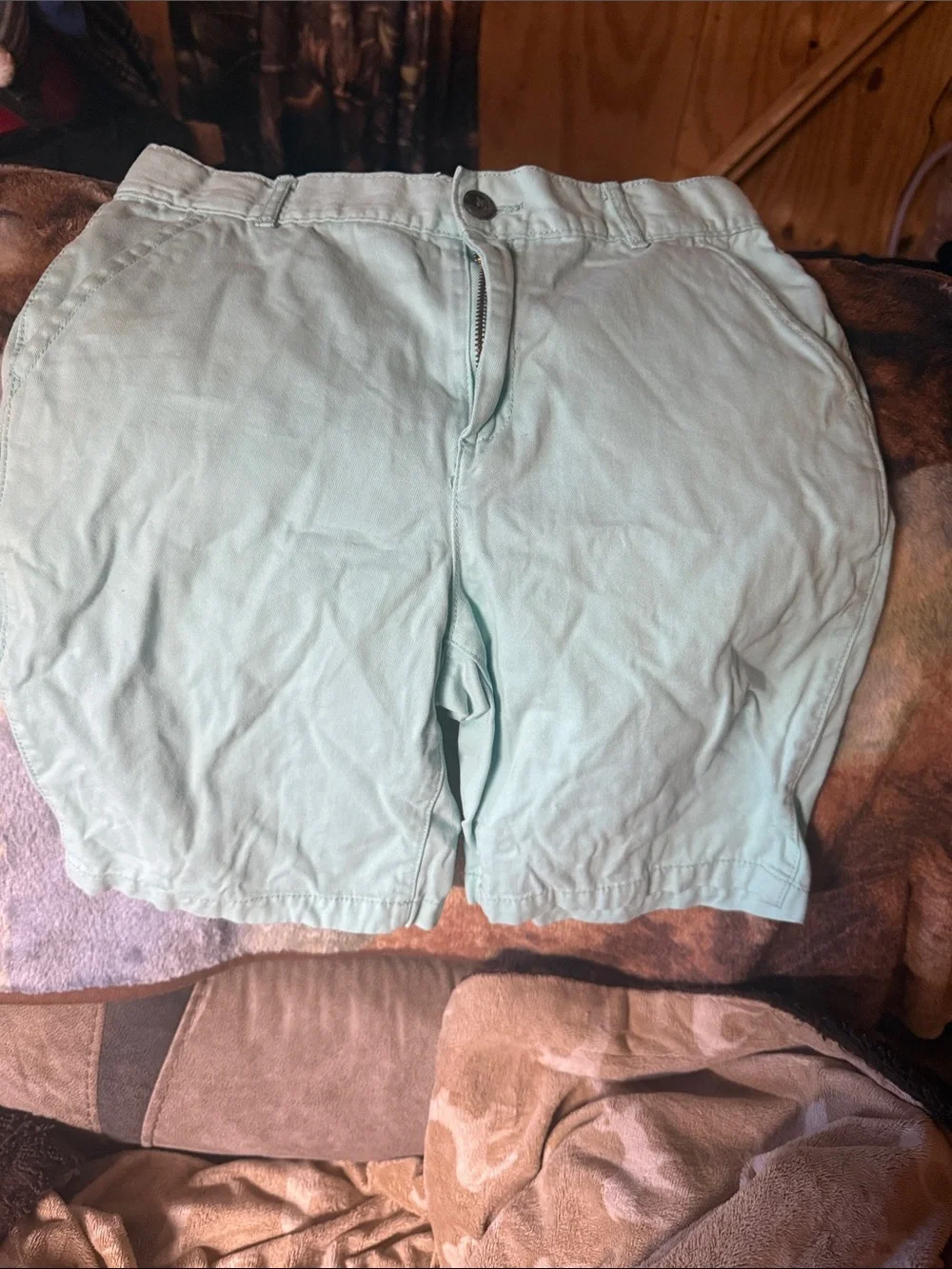 The Children's Place Mint Green Kids Shorts